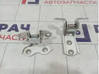 Петли двери задней правой Lexus LX570 (J200)