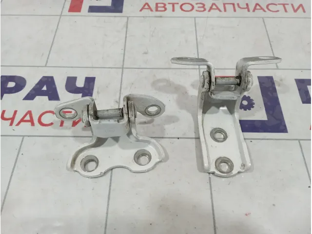Петли двери задней правой Lexus LX570 (J200)