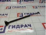 Амортизатор двери багажника Lexus LX570 (J200) 68960-69125