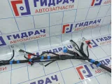 Проводка двери багажника Lexus RX350 (AL10) 82184-48660