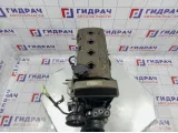 Двигатель Lifan Solano LF481Q31000000B. LF481Q3.