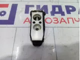 Клапан кондиционера Lifan Solano B8106010