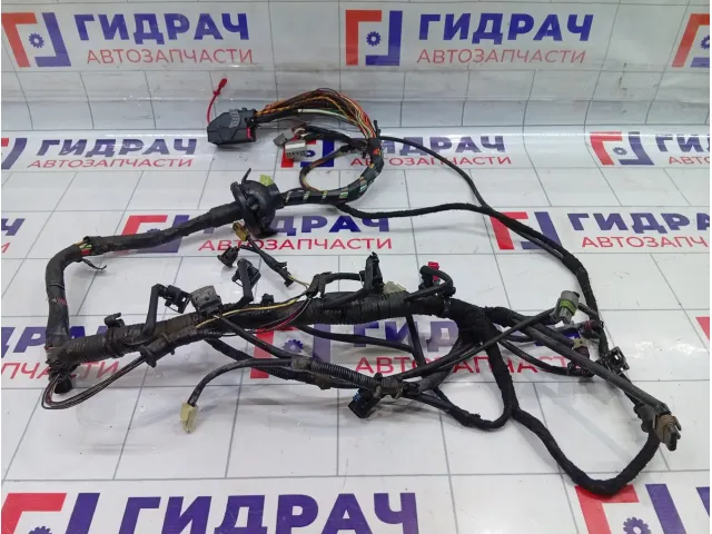 Проводка двигателя Lifan Solano LFB479Q4001100A