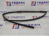 Уплотнитель стекла переднего левого Lifan Solano B6107111