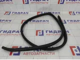 Уплотнитель двери Lifan Solano
