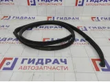Уплотнитель двери Lifan Solano