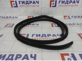 Уплотнитель двери Lifan Solano