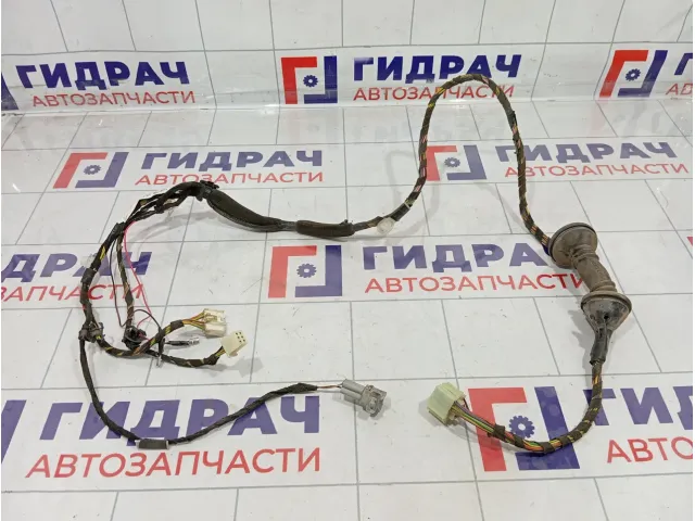 Проводка двери передней правой Lifan X50 A4007200