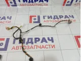 Проводка двери задней левой Lifan X50 AAB4007300