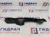 Пыльник крыла переднего правого Lifan X50 A5512220