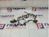 Проводка двери багажника Lifan X50 AAB4006800