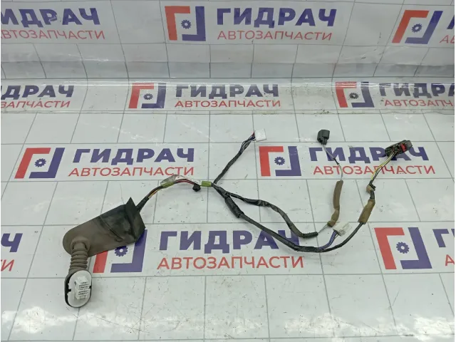 Проводка двери задней левой Mazda 3 BP4M67210C
