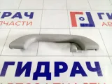 Ручка потолочная задняя левая Mazda 3 D35069470A