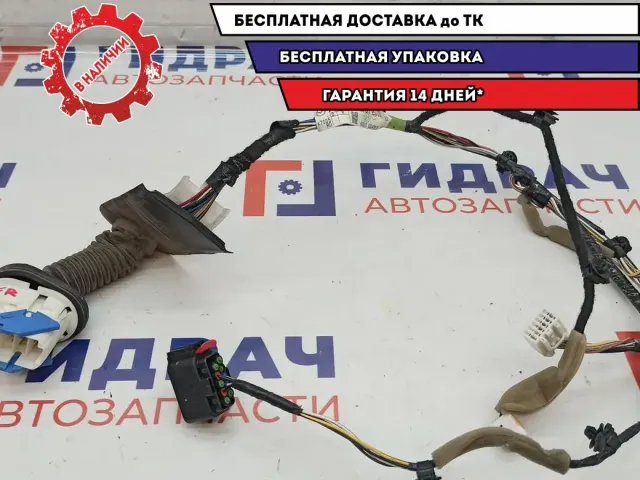 Проводка двери передней правой Mazda Mazda3 (BK) BP4M-67-200D.