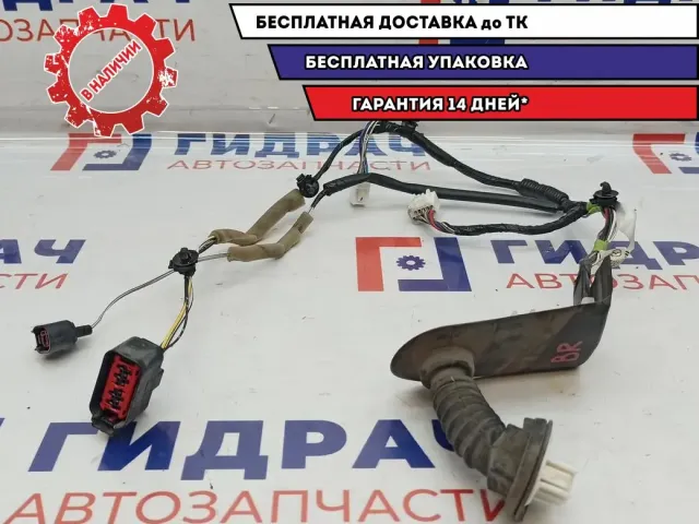 Проводка двери задней правой Mazda Mazda3 (BK) BP4M-67-220C.