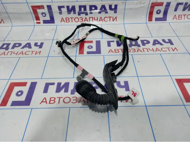 Проводка двери задней левой Mazda Mazda 3 (BM) BHN9-67-220