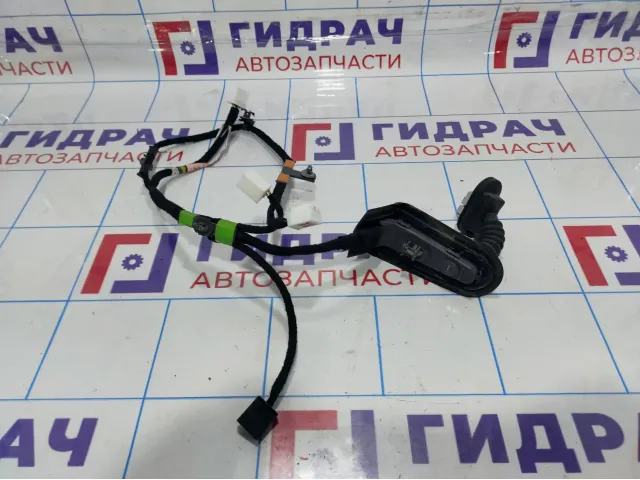 Проводка двери задней правой Mazda Mazda 3 (BM) BHN9-67-210