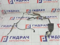 Проводка двери передней правой Mazda 6 GDB167200