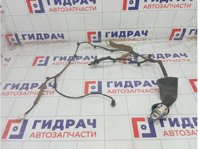 Проводка двери передней правой Mazda 6 GDB167200