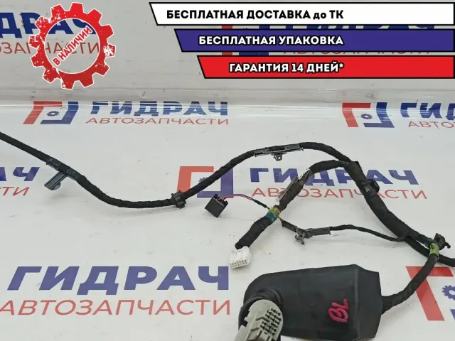 Проводка двери задней левой Mazda Mazda 6 (GJ) GHK1-67-220.