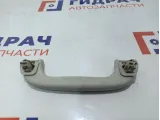 Ручка внутренняя потолочная Mazda Mazda 6 (GJ) GAL269470B75.