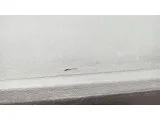 Шторка багажника Mazda CX-7 EG21-68-34XA-02. Дефект.