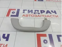 Ручка потолочная внутренняя передняя Mazda CX-7 GAL169470B77