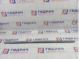 Молдинг двери передней левой Mazda CX-7 EG2150650F