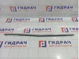 Молдинг двери задней правой Mazda CX-7 EG2150660G