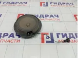 Динамик передний Mercedes-Benz B-класс A1698200202