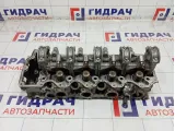Головка блока (ГБЦ) Mercedes-Benz B-класс A2660100620