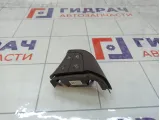 Блок кнопок в рулевое колесо Mercedes-Benz B-класс A16982097109116