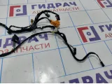 Проводка двери передней левой Mercedes-Benz E-Class 200 (W212) A2125409810