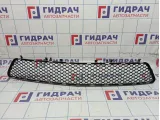 Решетка в бампер центральная Mercedes-Benz E-Class 200 (W212) A2128851253