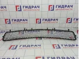 Решетка в бампер центральная Mercedes-Benz E-Class 200 (W212) A2128851253