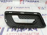 Решетка в бампер левая Mercedes-Benz E-Class 200 (W212) A2128850853
