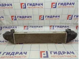 Интеркулер Mercedes-Benz E-Class 200 (W212) A2045000000