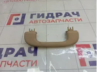 Ручка потолочная передняя Mercedes-Benz GL-класс A16481003548K67