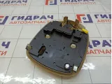 Плафон салонный Mercedes-Benz GL-класс A16482071858K67