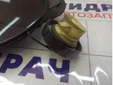 Лючок бензобака Mercedes-Benz GL-класс A1647570106