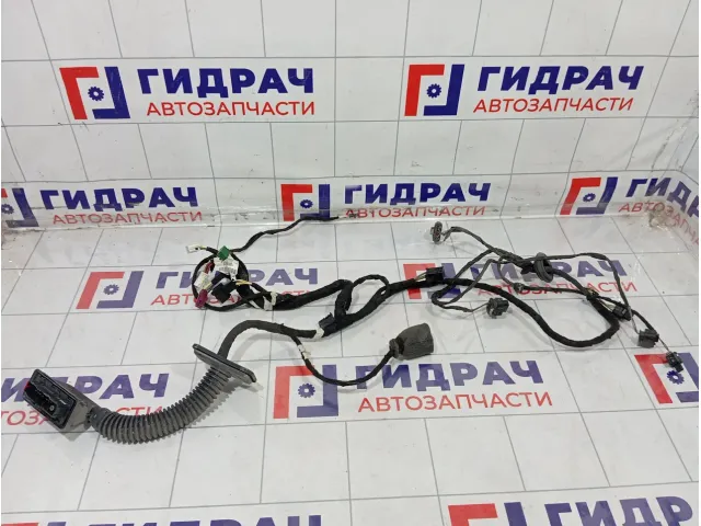 Проводка двери передней левой Mercedes-Benz GL-класс A1664404635