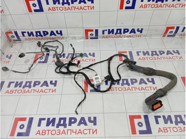 Проводка двери задней правой Mercedes-Benz GL-класс A1664408632