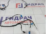 Проводка двери передней левой Mercedes-Benz GL-класс A1664404408