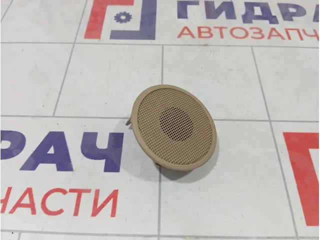 Динамик задний левый Mercedes-Benz GL-класс A2319062200