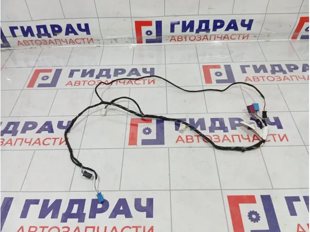 Проводка двери задней Mercedes-Benz GL-класс A1664406005