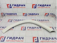 Накладка крыла переднего правого Mercedes-Benz GL-класс A1668846222