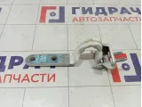 Петля багажника Mercedes-Benz GL-класс A1667400237
