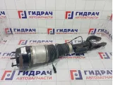 Амортизатор передний правый Mercedes-Benz GL-класс A1663205666