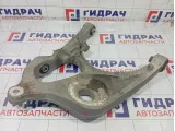 Рычаг задний правый Mercedes-Benz GL-класс A1663501006
