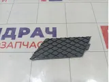Заглушка бампера переднего Mercedes-Benz GL-класс A1668855122